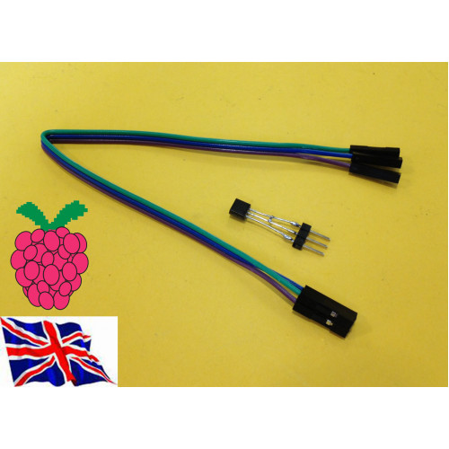 Raspberry Pi - DS18B20 1-Wire Temp Sensor